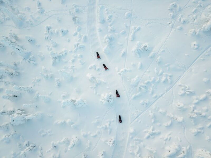 rovaniemi-snowmobile-safari-for-adults
