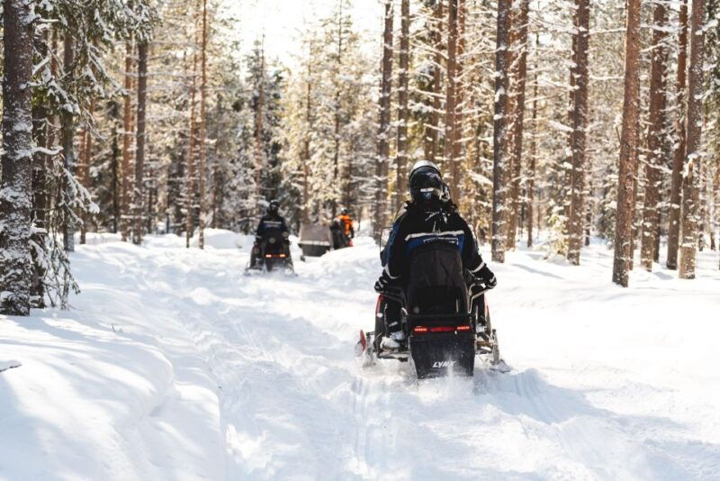 rovaniemi-snowmobile-safari-into-the-arctic-circle-forest