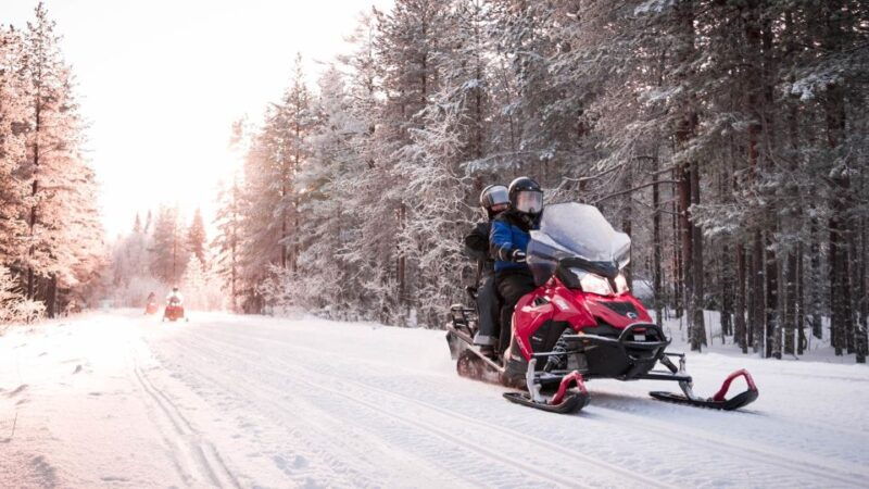 rovaniemi-snowmobile-safari-into-the-arctic-circle-forest