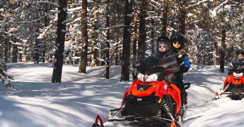 rovaniemi-snowmobile-safari-into-the-arctic-circle-forest