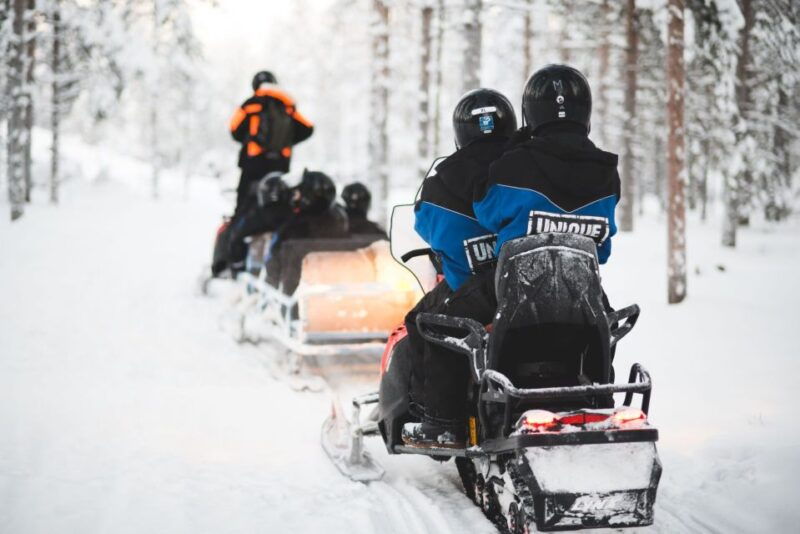 rovaniemi-snowmobile-safari-into-the-arctic-circle-forest