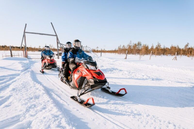 rovaniemi-snowmobile-safari-into-the-arctic-circle-forest