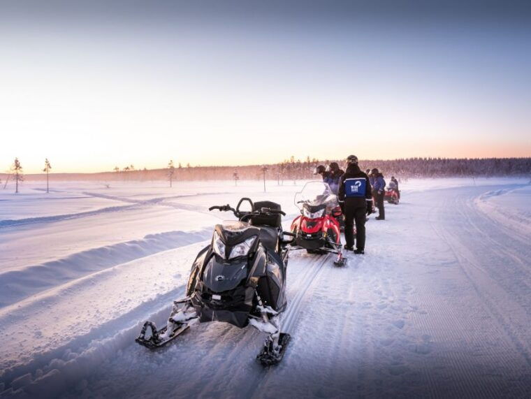 rovaniemi-snowmobile-safari-into-the-arctic-circle-forest
