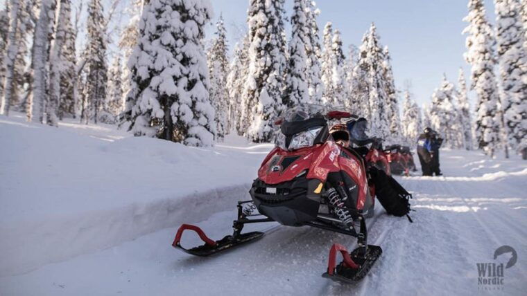 rovaniemi-snowmobile-safari-into-the-arctic-circle-forest