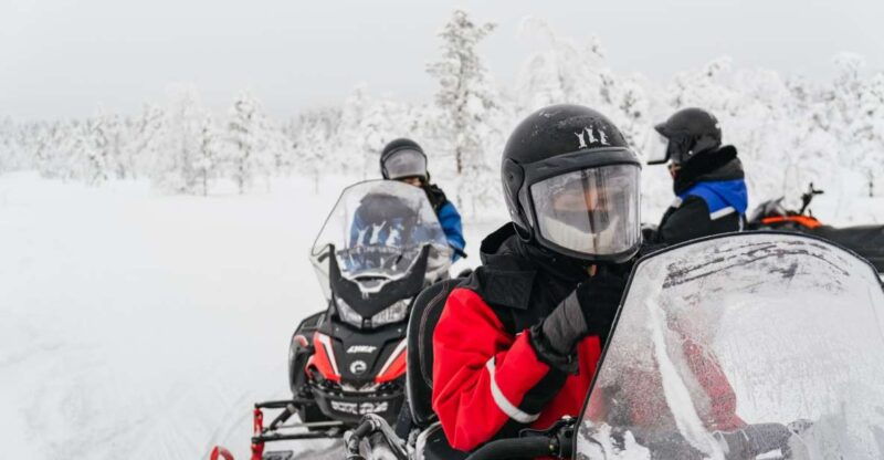 rovaniemi-snowmobile-safari-reindeer-husky-sleigh-ride