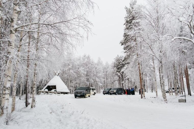 rovaniemi-snowmobile-safari-reindeer-husky-sleigh-ride