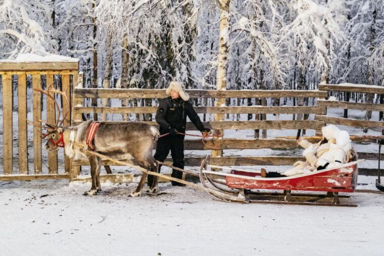 rovaniemi-snowmobile-safari-reindeer-husky-sleigh-ride