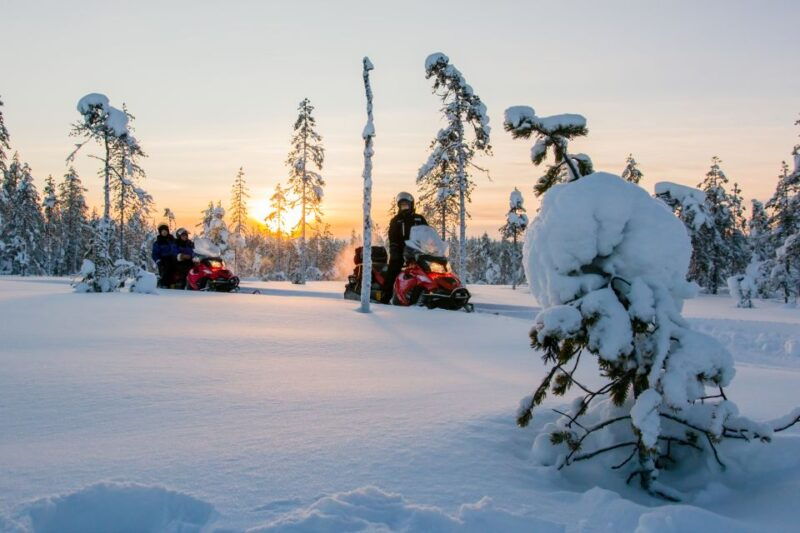 rovaniemi-snowmobile-safari-to-a-reindeer-farm