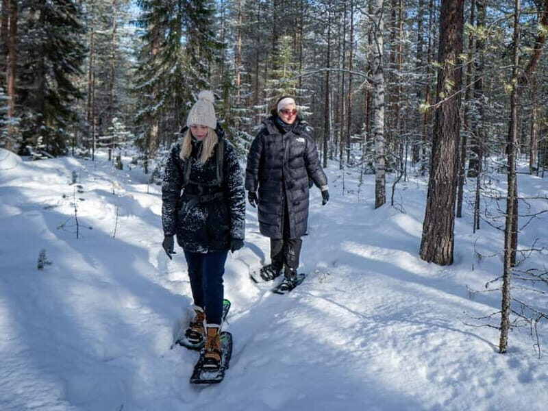 Rovaniemi: Snowshoe Adventure at Vikaköngäs & Barbeque - Discovering Lapland on Snowshoes: What to Expect