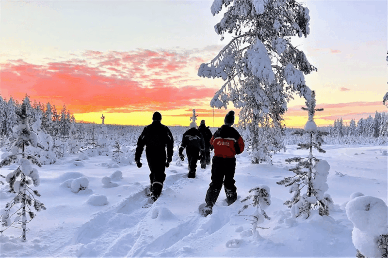 rovaniemi-snowshoe-hiking-adventure
