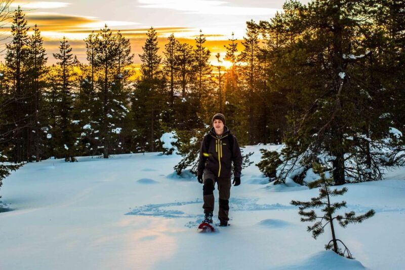 rovaniemi-snowshoe-wilderness-adventure