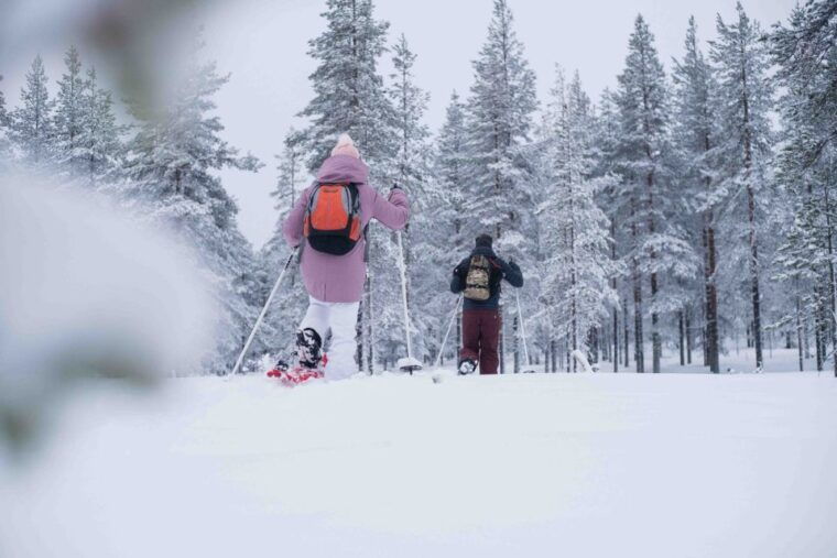 rovaniemi-snowshoe-wilderness-adventure