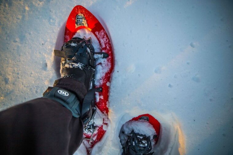 rovaniemi-snowshoe-wilderness-adventure