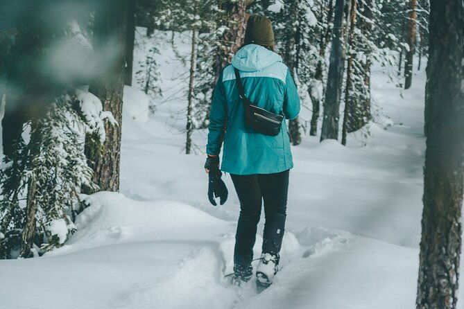 rovaniemi-snowshoeing-in-a-magical-snowy-forest