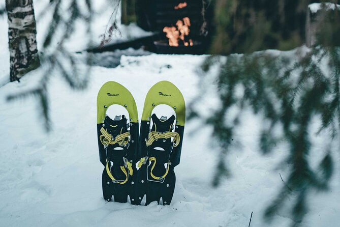 rovaniemi-snowshoeing-in-a-magical-snowy-forest