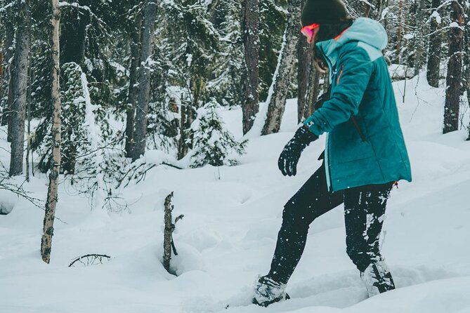 rovaniemi-snowshoeing-in-a-magical-snowy-forest