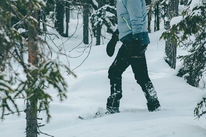 rovaniemi-snowshoeing-in-a-magical-snowy-forest
