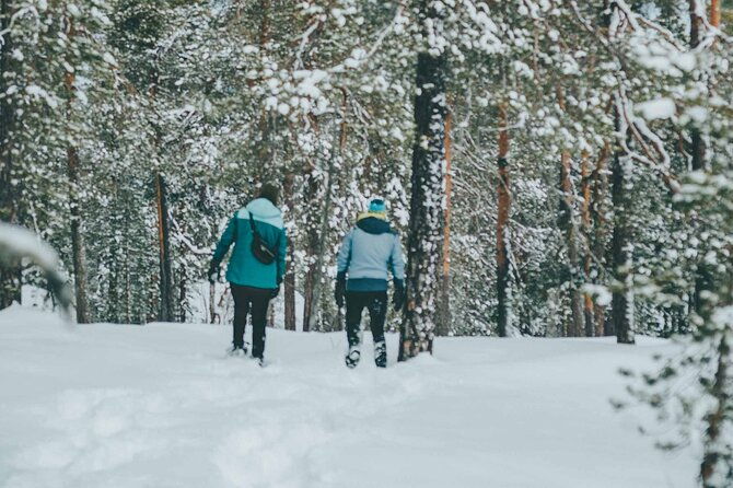 rovaniemi-snowshoeing-in-a-magical-snowy-forest
