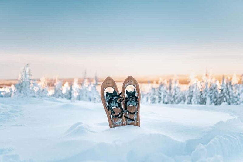 Rovaniemi: Snowshoeing in the Arctic Wilderness - An In-Depth Look at the Snowshoeing Tour