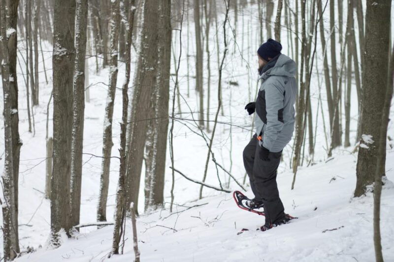 rovaniemi-snowshoeing-tour-with-wild-lunch-and-hotel-pickup