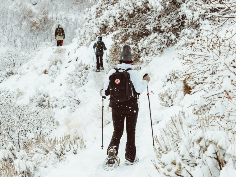 rovaniemi-snowshoeing-tour-with-wild-lunch-and-hotel-pickup