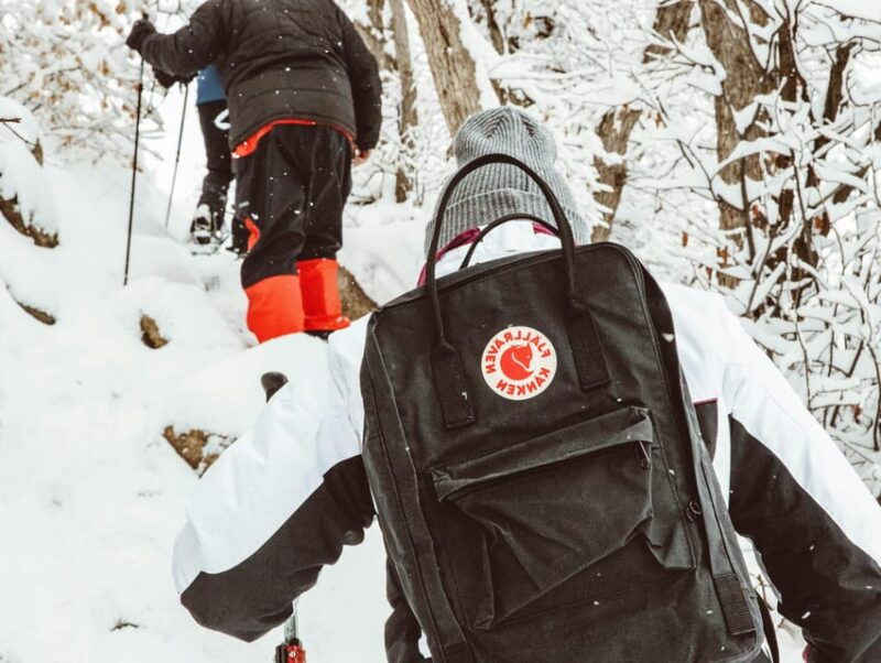 rovaniemi-snowshoeing-tour-with-wild-lunch-and-hotel-pickup