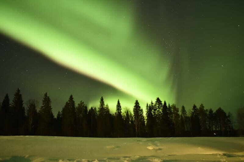 Rovaniemi: Snowtrain to Northern Lights Camp - Northern Lights: The Elusive Spectacle