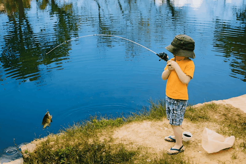 rovaniemi-summer-fishing-tour-in-arctic-nature-bbq