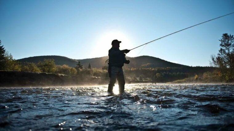 rovaniemi-summer-fishing-tour-in-arctic-nature-bbq