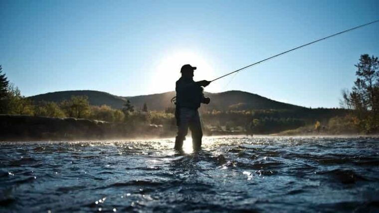 rovaniemi-summer-fishing-tour-in-arctic-nature-bbq