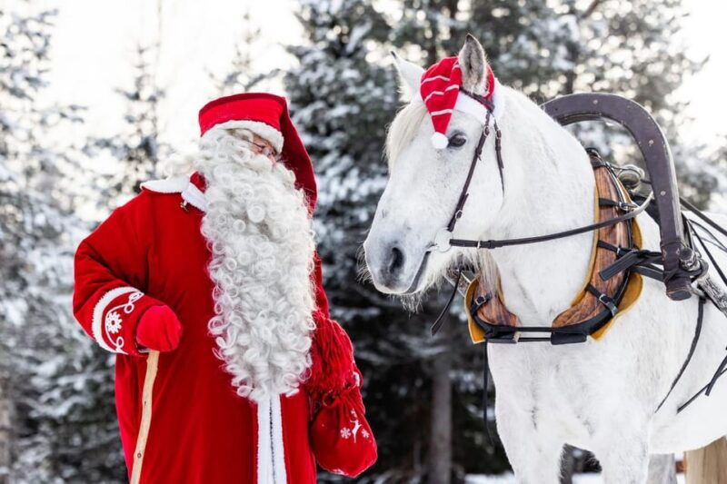 rovaniemi-traditional-finnhorse-sleigh-ride-at-scv-3km