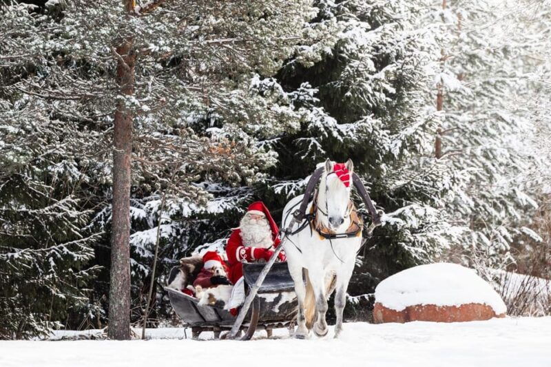 rovaniemi-traditional-finnhorse-sleigh-ride-at-scv-3km
