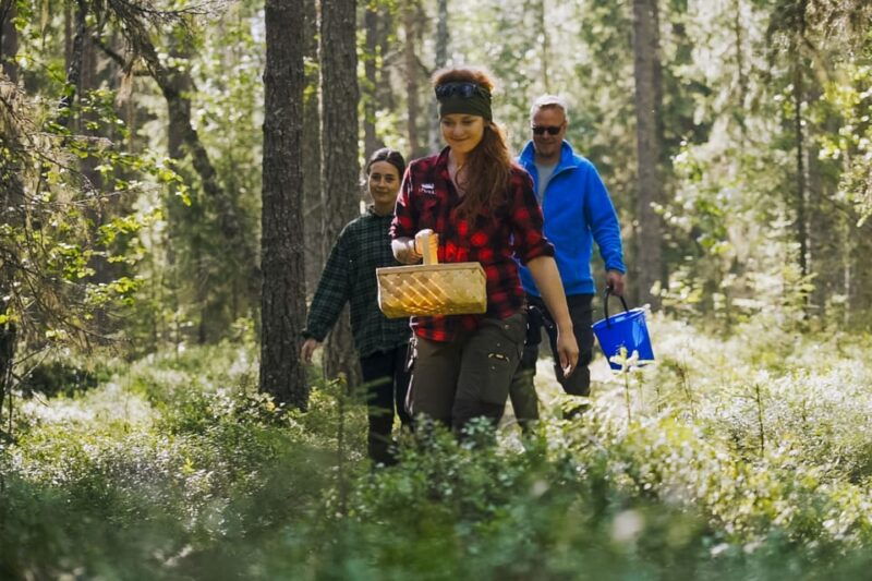 rovaniemi-trekking-in-the-heart-of-nature