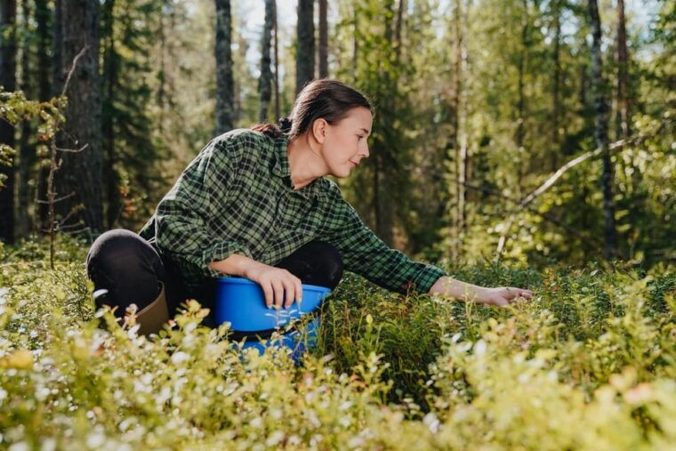 rovaniemi-trekking-in-the-heart-of-nature