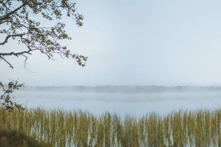 rovaniemi-trekking-in-the-heart-of-nature