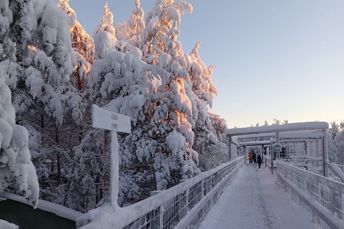 Rovaniemi: Trip to Ranua Zoo with Tickets Included - Food, Shopping, and Relaxation
