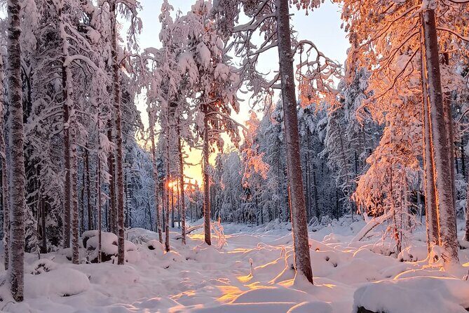 Rovaniemi: Trip to Ranua Zoo with Tickets Included - Frequently Asked Questions