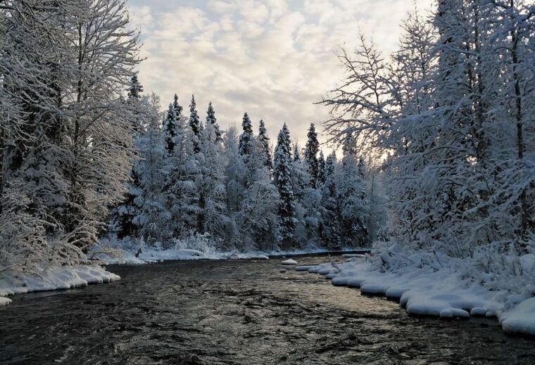rovaniemi-vaattunki-hiking-arctic-circle-trail