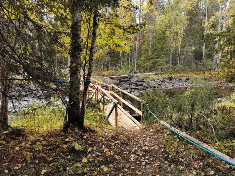 rovaniemi-vaattunki-hiking-arctic-circle-trail