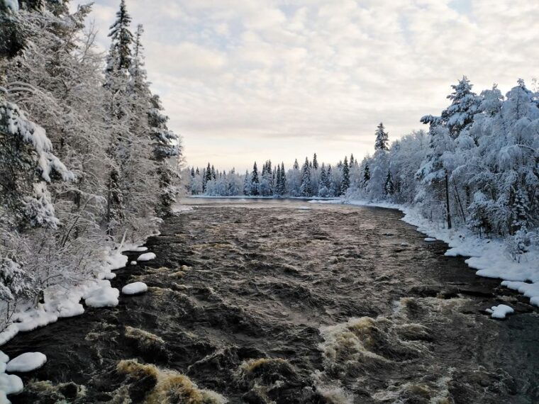 rovaniemi-vaattunki-hiking-arctic-circle-trail