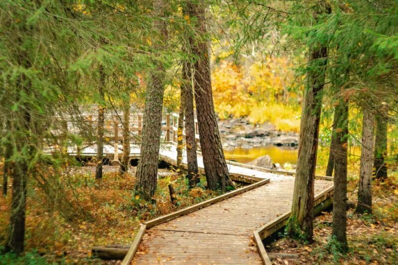 Rovaniemi: Vaattunkiköngäs Trail Arctic Circle Forest Hike - Why Choose This Tour?