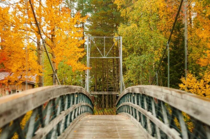 Rovaniemi: Vaattunkiköngäs Trail Arctic Circle Forest Hike - Who Will Love This?
