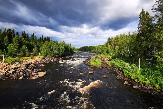 rovaniemi-vikakongas-sightseeing-photography-tour