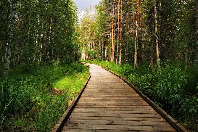 rovaniemi-vikakongas-sightseeing-photography-tour