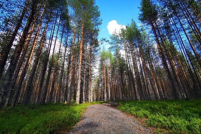 rovaniemi-vikakongas-sightseeing-photography-tour