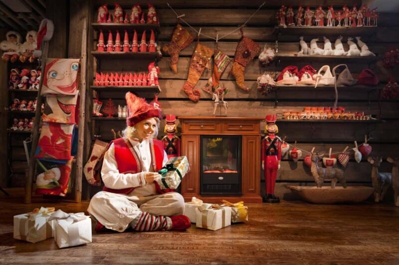 Rovaniemi: Visit Santa Park Visit with Hotel Transfer - What’s Included and What’s Not