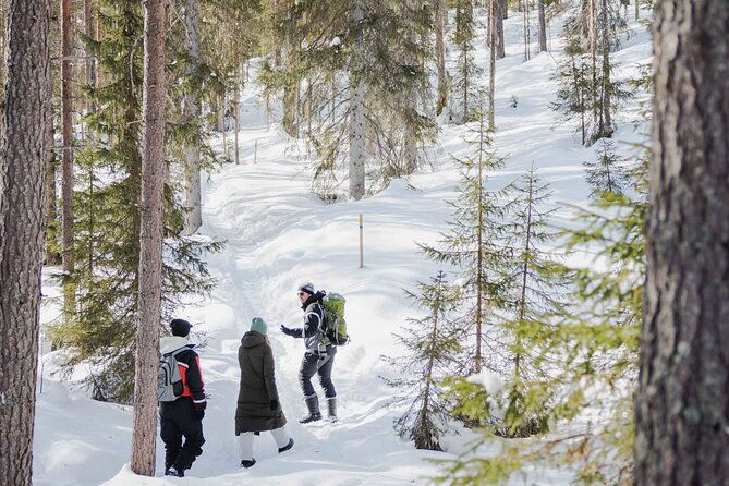 rovaniemi-visit-to-the-frozen-waterfalls-of-korouoma