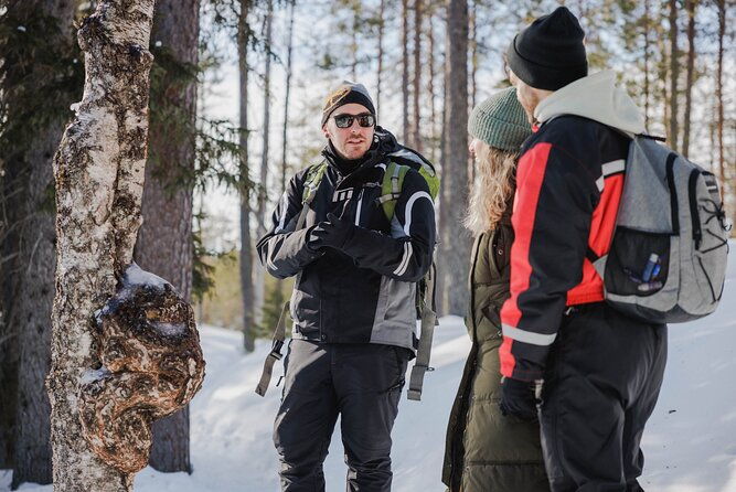 rovaniemi-visit-to-the-frozen-waterfalls-of-korouoma