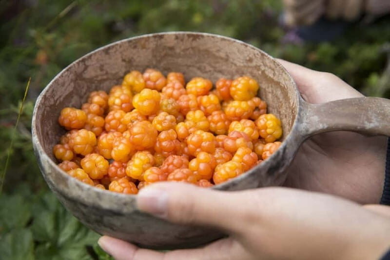 Rovaniemi: Wild Berry Picking and Juice Making - What’s Included and How It Adds Value