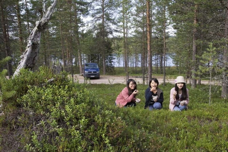 Rovaniemi: Wild Berry Picking and Juice Making - The Forest and the Berries